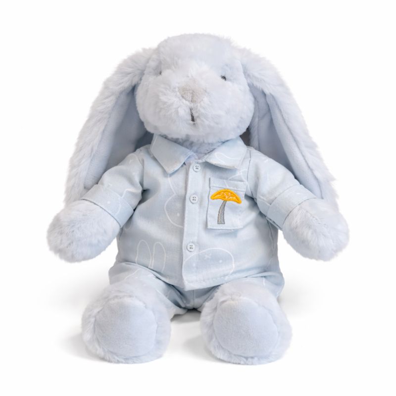 Lily & George Blue Bedtime Bunny