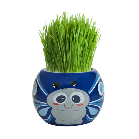 Grass Hair Kits - Friendly Bugs (Assorted)