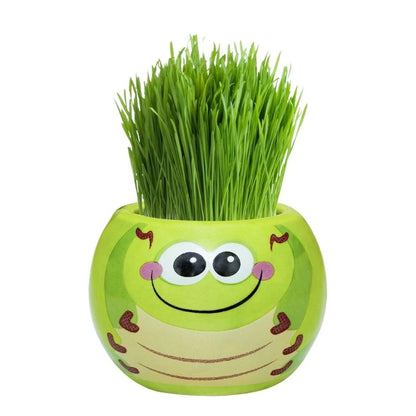Grass Hair Kits - Friendly Bugs (Assorted)