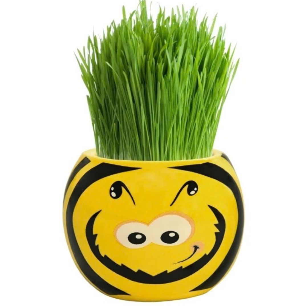Grass Hair Kits - Friendly Bugs (Assorted)
