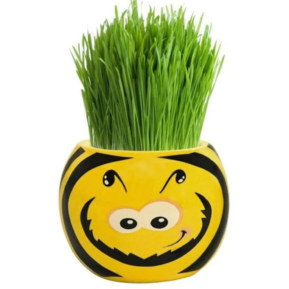 Grass Hair Kits - Friendly Bugs (Assorted)