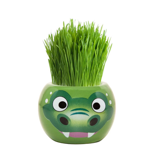 Grass Hair Kits Aussie Animals (Assorted)