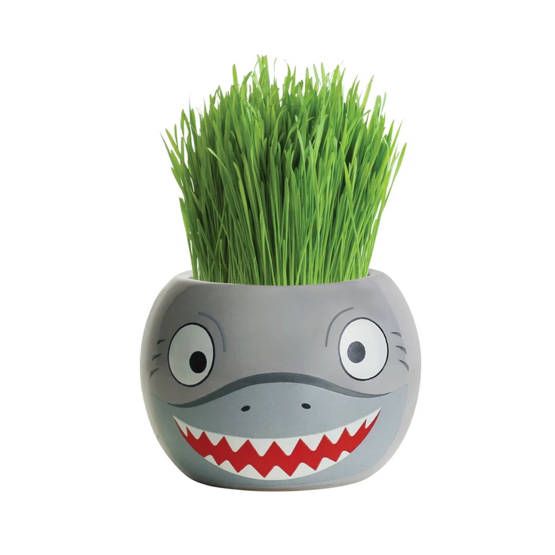 Grass Hair Kits Ocean Animals (Assorted)