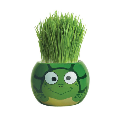 Grass Hair Kits Ocean Animals (Assorted)