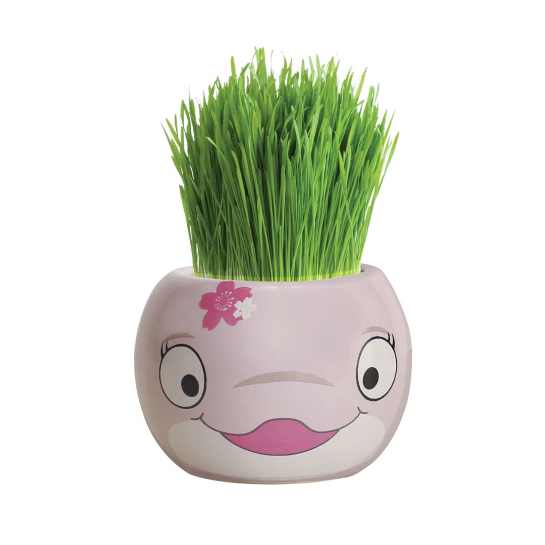 Grass Hair Kits Ocean Animals (Assorted)