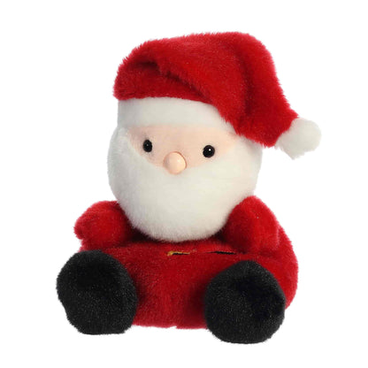 Palm Pals Santa Claus