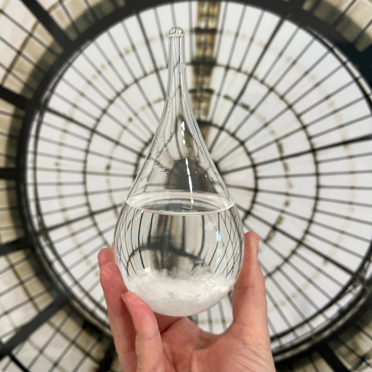 The Executive Collection Raindrop Weather Station ** FINAL SALE **