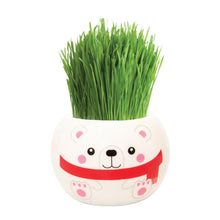 Load image into Gallery viewer, Christmas Grass Hair Kits (Assorted)
