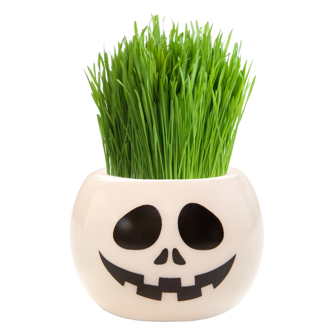 Halloween Skull Grass Hair Kit