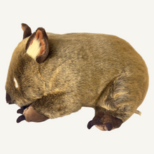 Load image into Gallery viewer, Outbackers 45cm Big Wombat "Russ"
