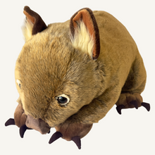 Load image into Gallery viewer, Outbackers 58cm Large Wombat "Wayne"

