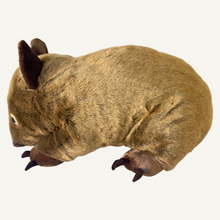 Load image into Gallery viewer, Outbackers 58cm Large Wombat "Wayne"
