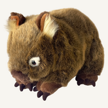 Load image into Gallery viewer, Outbackers 30cm Wombat "Russell"
