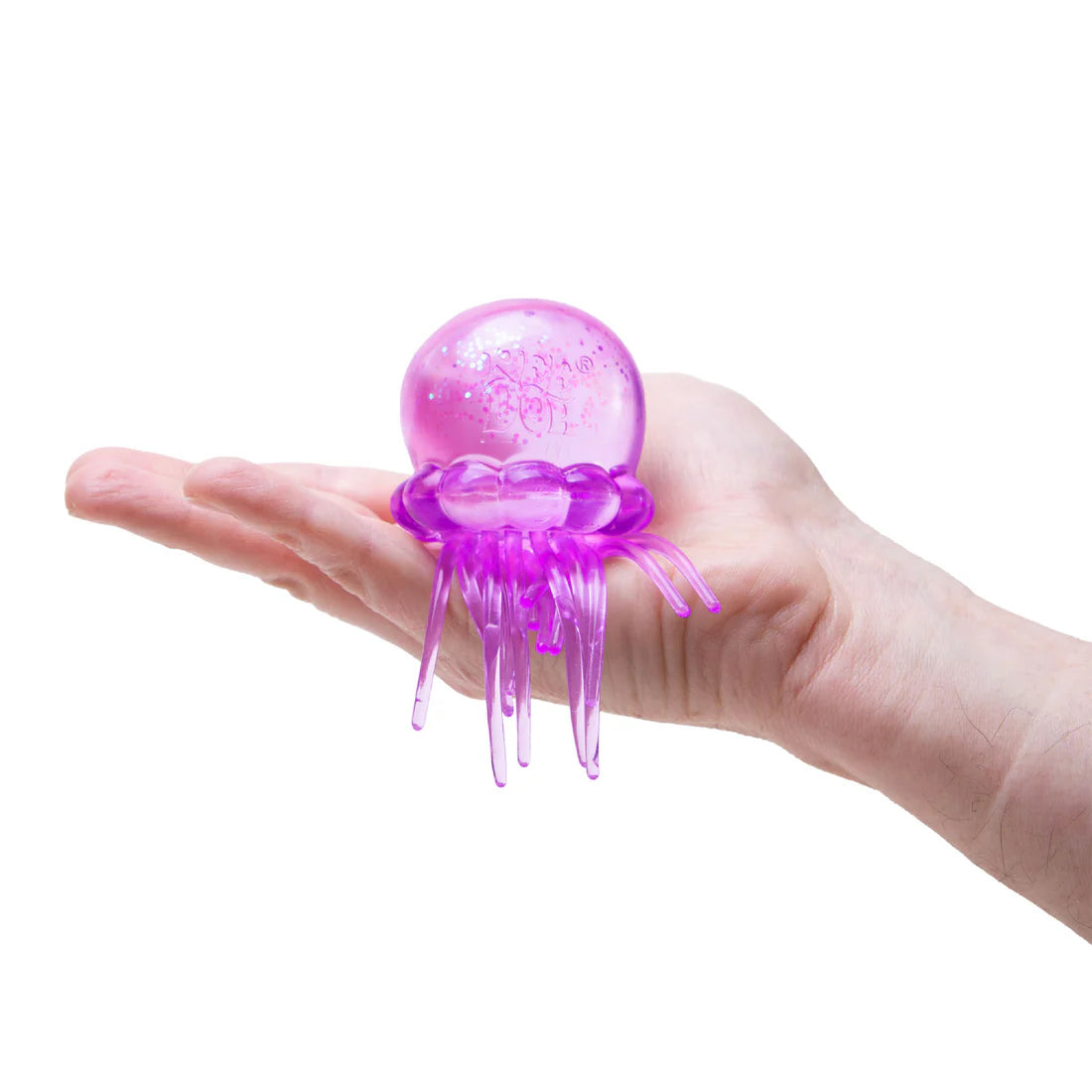 Schylling NeeDoh Jelly Squish ** PRE-ORDER December **
