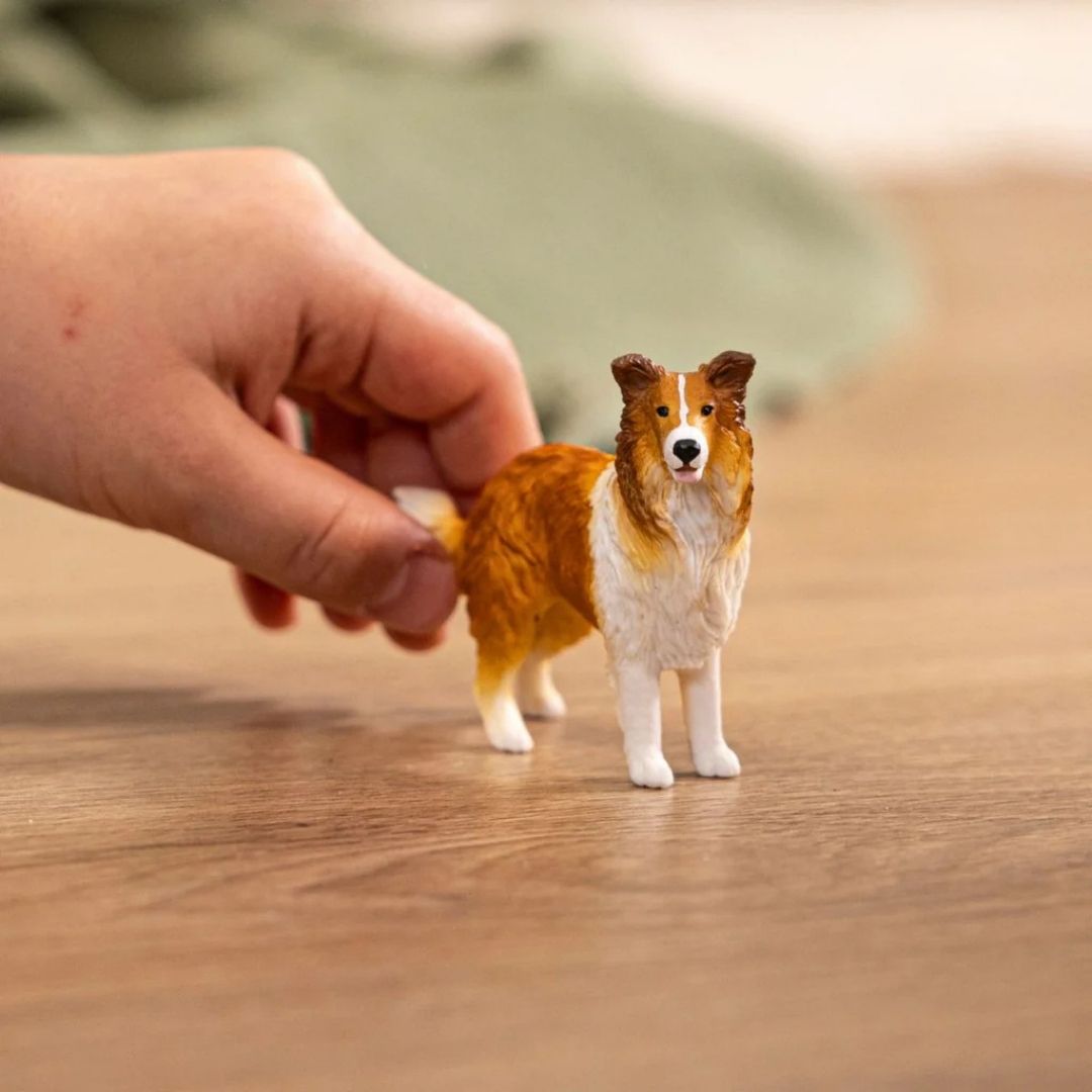 Schleich Collie
