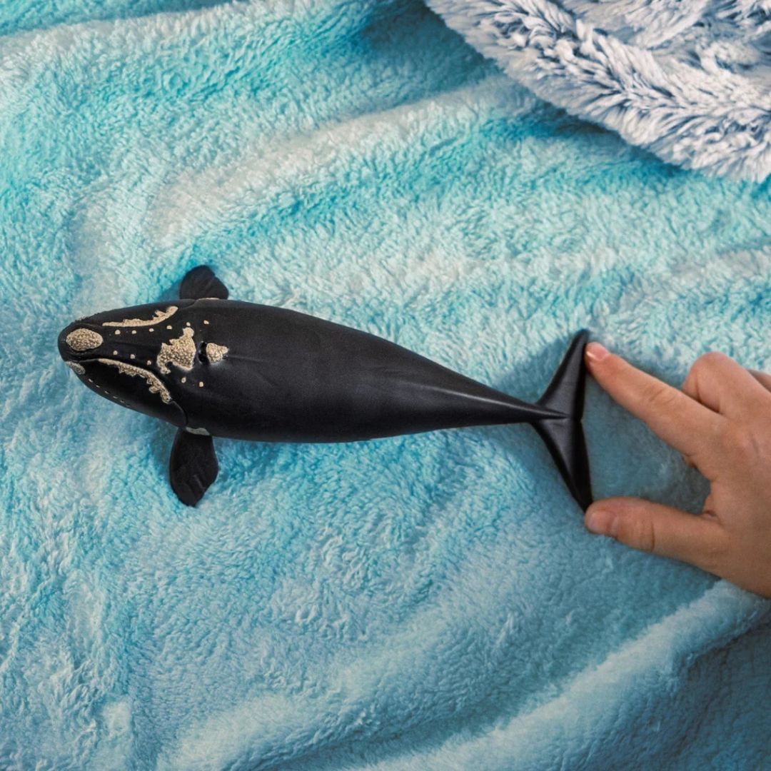 Schleich North Atlantic Right Whale