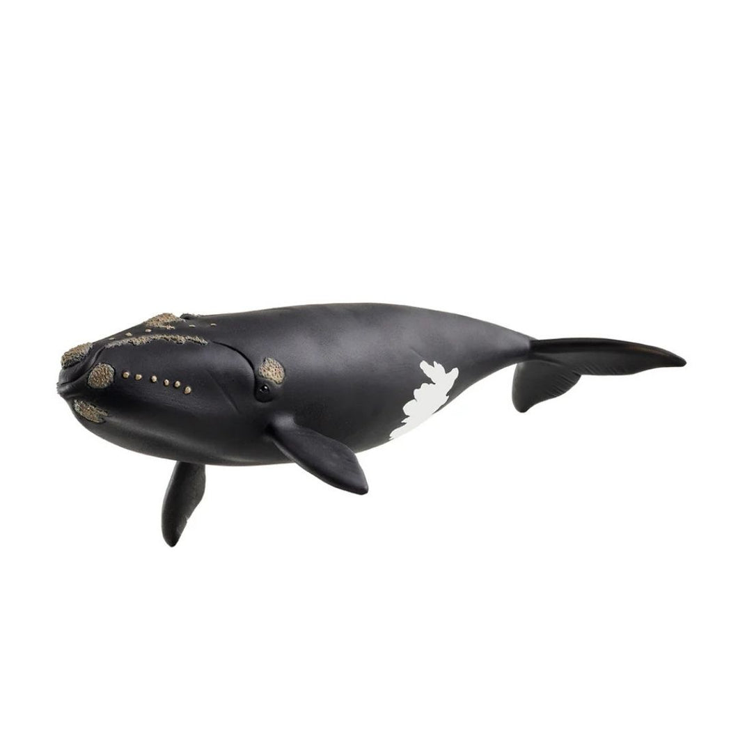 Schleich - North Atlantic Right Whale