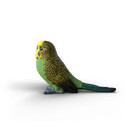 Schleich - Budgie