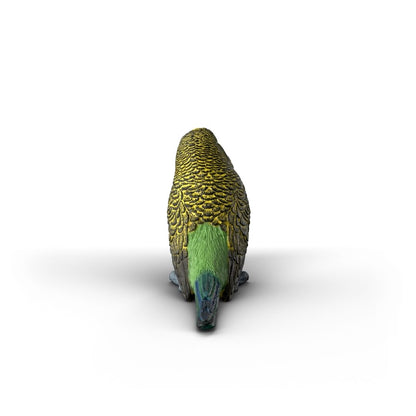 Schleich - Budgie