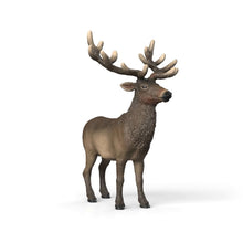 Load image into Gallery viewer, Schleich - Elk
