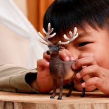 Load image into Gallery viewer, Schleich - Elk
