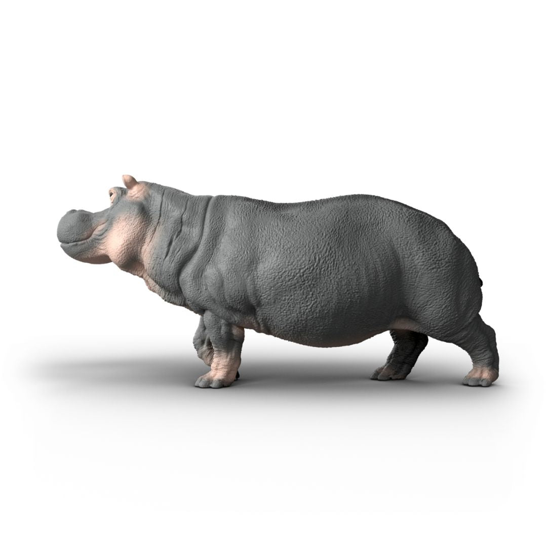 Schleich - Hippopotamus
