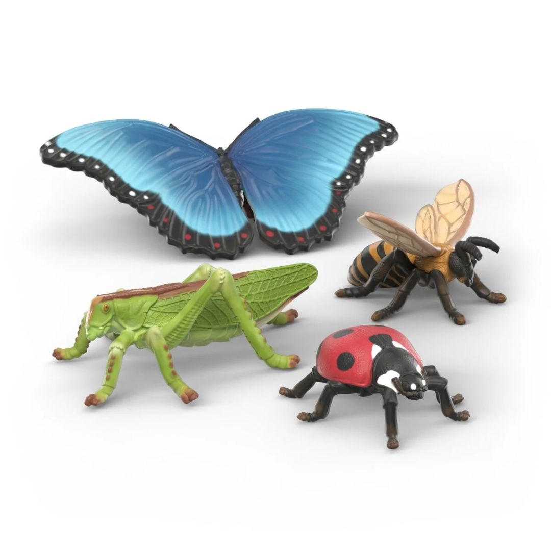 Schleich - Insects Discovery Set