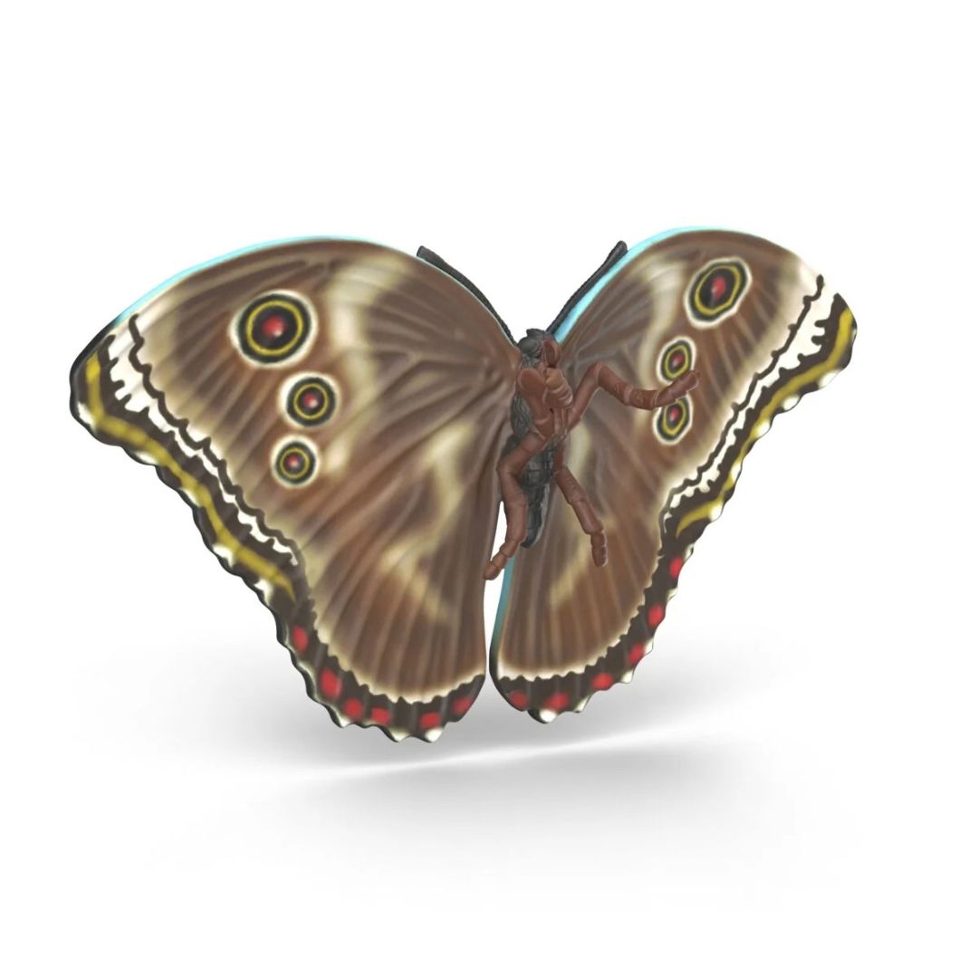 Schleich - Insects Discovery Set