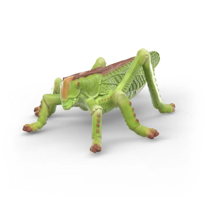 Schleich - Insects Discovery Set