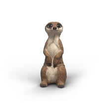 Load image into Gallery viewer, Schleich - Meerkat
