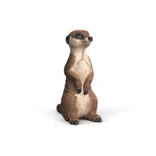 Load image into Gallery viewer, Schleich - Meerkat
