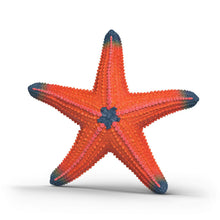 Load image into Gallery viewer, Schleich - Color Change Starfish
