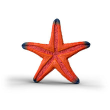 Load image into Gallery viewer, Schleich - Color Change Starfish
