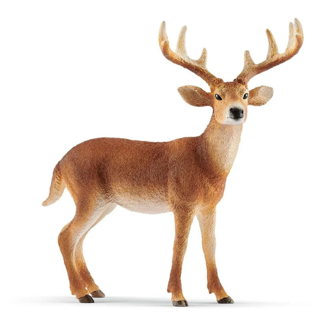 Schleich White-Talied Buck