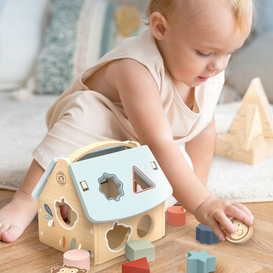 Speedy Monkey House Shape Sorter