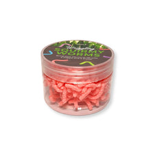 Load image into Gallery viewer, Discovery Zone Squirmy Worms (Assorted)

