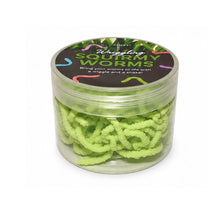 Load image into Gallery viewer, Discovery Zone Squirmy Worms (Assorted)
