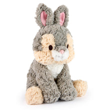 Load image into Gallery viewer, Disney x Gund 33cm Cozys Thumper
