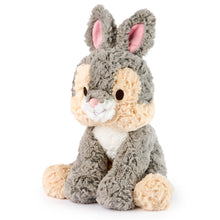 Load image into Gallery viewer, Disney x Gund 33cm Cozys Thumper
