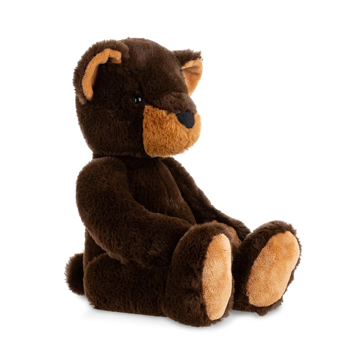 Brown teddy bear on a white background