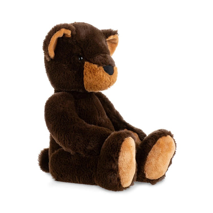 Brown teddy bear on a white background