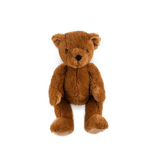 Load image into Gallery viewer, Wonderlings Theodore Bear c. 1902
