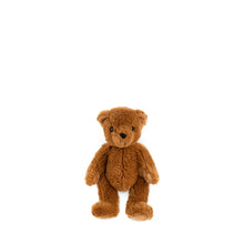 Load image into Gallery viewer, Wonderlings Theodore Bear c. 1902
