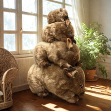 Load image into Gallery viewer, Outbackers 45cm Big Wombat "Russ"
