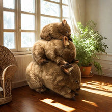 Load image into Gallery viewer, Outbackers 58cm Large Wombat "Wayne"
