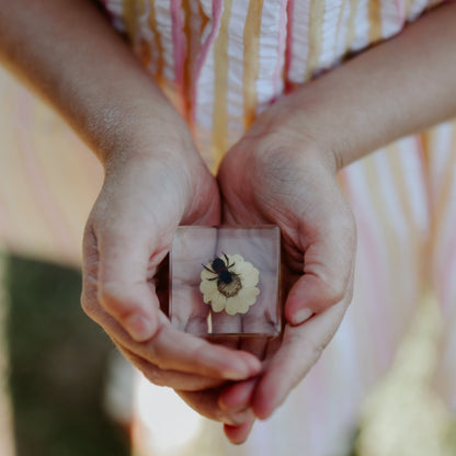Our Earth life: Bee and Flower Specimen