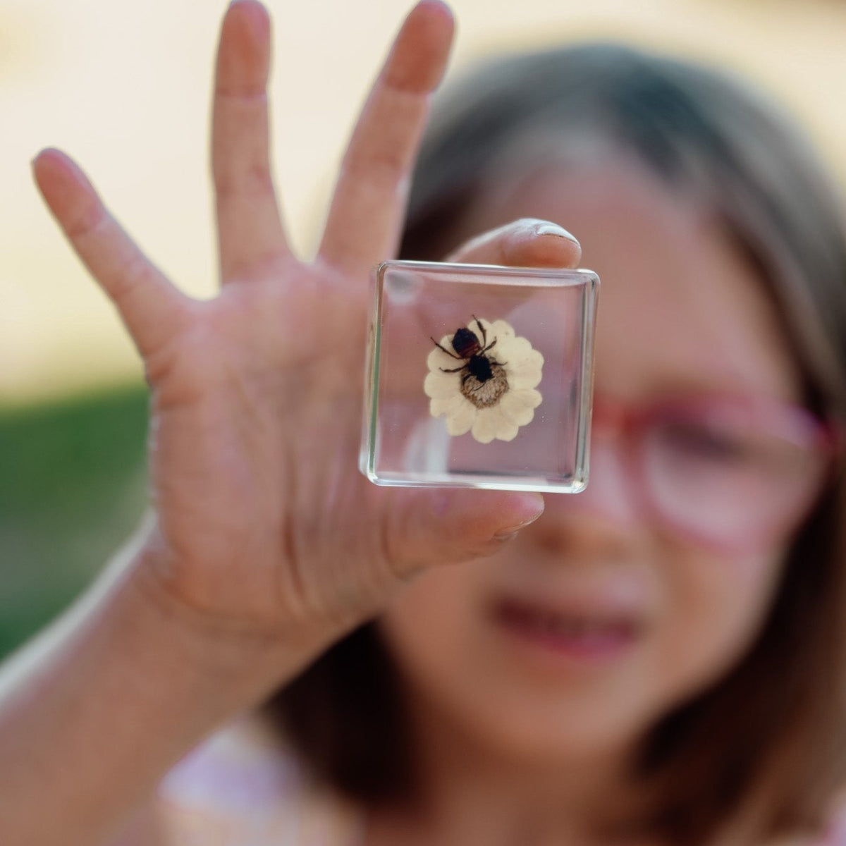 Our Earth life: Bee and Flower Specimen