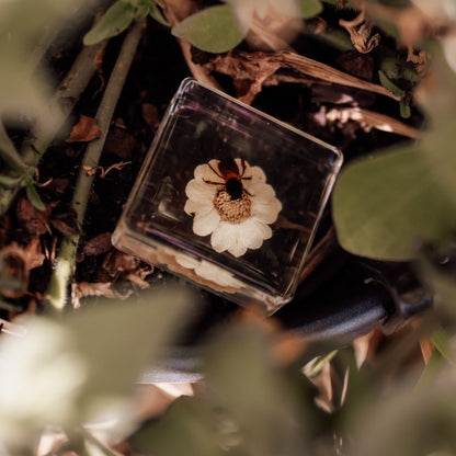 Our Earth life: Bee and Flower Specimen