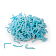 Load image into Gallery viewer, Discovery Zone Squirmy Worms (Assorted)
