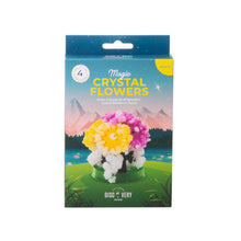Load image into Gallery viewer, Discovery Zone Magic Crystal Flowers
